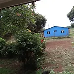 Hare O Ahani